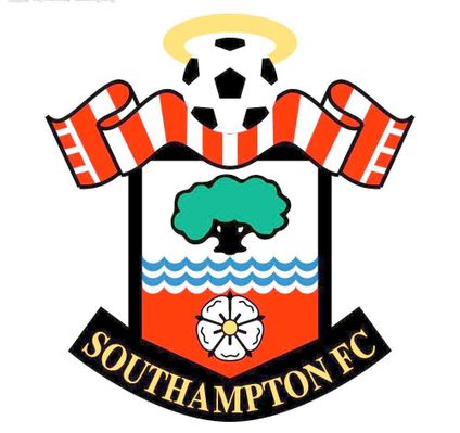 不仅扰乱了 不仅扰乱了